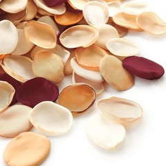 300pcs Rose Petals Rust Brown Earth Tones Faux Silk Flower Petals Wedding Flower