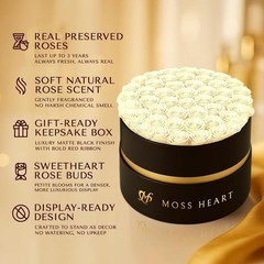 50 Petite Preserved Roses, Designer Round Box, 50 White