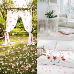 3200 Pcs Artificial Rose Petals for Romantic Night, Fake Rose Flower Petals for
