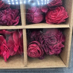 Sola Wood Flowers Boxed Set Red Craft Supply Wedding DIY Decor Fillers