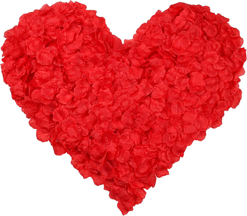 3000 pétalos de rosa de seda, decoraciones de pétalos de rosa roja