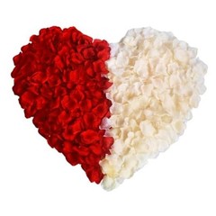 Notoke 2000PCS Artificial Silk Rose Petals Fake Rose Decoration for Romantic