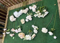 Huge Lot Bundle Of Cream Ivory White Roses Peony Magnolia Long Stem Real Touch