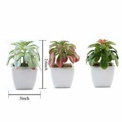 3 Assorted 5″ Faux Echeveria Succulent Plants Off White Pots Wedding Party