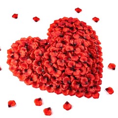 Sukh 1200Pcs Artificial Rose Petals – Silk Fake Red for