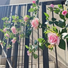 5.9FT Bendable Rose Flower Garlands, Artificial Silk Wild Roses Vine 1 Pink