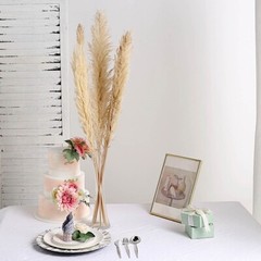6 WHEAT 49″ Natural Pampas Grass SPRAYS Dried Plant STEMS Party Home Decorations