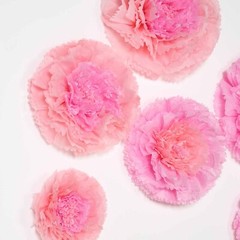 24 pack 7″ 9″ 11″ Blush and Pink Tissue Paper Carnation Flowers Backdrop