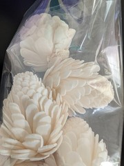Sola Thistle Wood Flowers ~ 15 (3 sets of 5) ~ New!