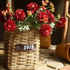 6 Pcs Artificial Dahlias,Silk Flowers with Stems,Winter Flowers Artificial fo…