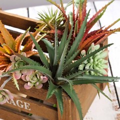 3 Green 12″ Assorted Faux Aloe Succulent Sprays Stems Wedding Party Centerpieces