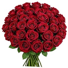 50PCS 20‘’ Red Artificial Roses Flowers with Long 50pcs Red Artificial Flowers