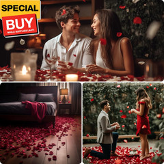 (Pre-Separated, Scented) Artificial Silk Rose Petals for Wedding Flower Petals