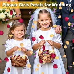 20 Cups Real Dried Rose Petals Biodegradable Wedding Flower Confetti 2 QT Mixed