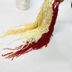 Preserved Amaranthus Premium Natural Dried Flowers Home Wedding Bouquet Decor