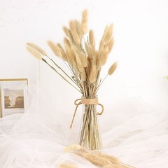 NATURAL 50 Stems 15″ Rabbit Tail Dried Natural Pampas Grass SPRAYS Party Events