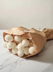 Artificial Kiku Flower White – 5 Pcs Fake Pompon Mums Silk Small Off White