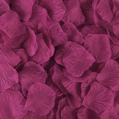 2000 Rustic Fake Rose Petals Flower Girl Scatter for Aisle Runner Bridal Shower
