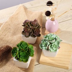 Set of 3 5″ tall Assorted Artificial Faux Succulent Plants with Off White Pots