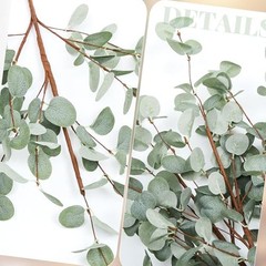 30″ Extra Long Greenery Stems – 6 Eucalyptus – Set of 6