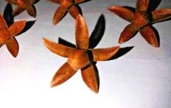 Dry flowers for make beautiful decorations wall decorations 20 flowers in set