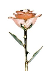 Pink Everrose- Open bud 30cm Real Rose Dipped in 24k Gold Foil Rose Valentine