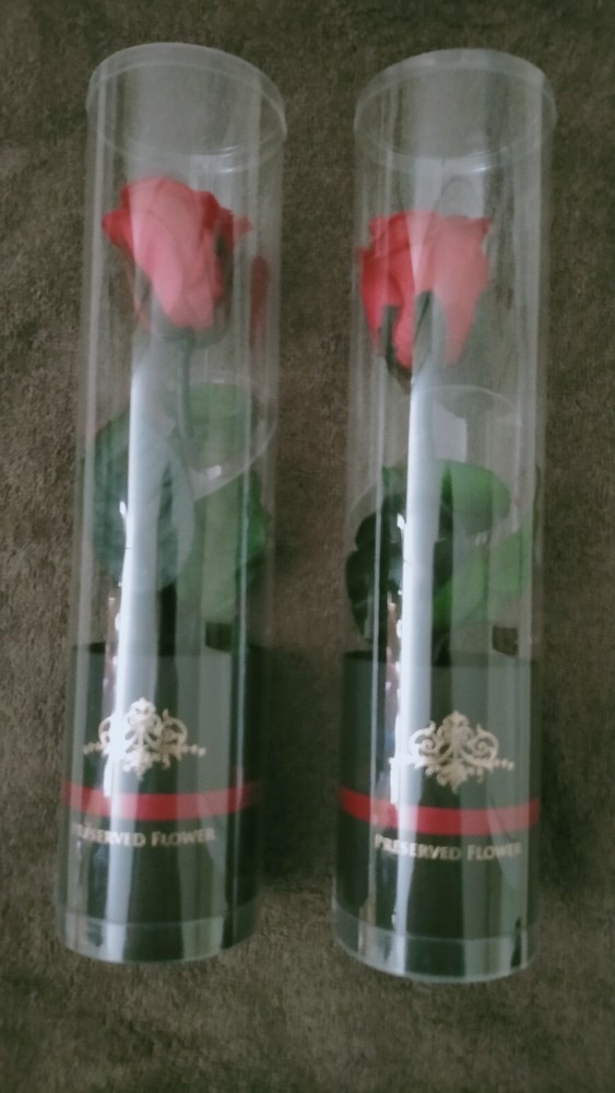 Preserved roses in a case (set of 2)