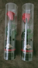 Preserved roses in a case (set of 2)