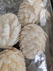 Sola Thistle Wood Flowers ~ 15 (3 sets of 5) ~ New!