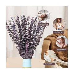 20 Pcs Dried Eucalyptus Stems, 17” Natural Real Live Purple Eucalyptus Leave…