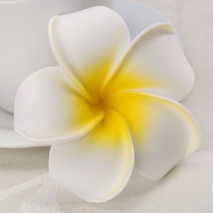 10/50Pcs DIY Frangipani Flowers Artificial Foam Floral Wedding Party Dekor Parts