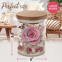 Havenstock Pink Rose in a Glass Dome – Premium Real Roses That Last
