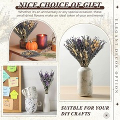 4 Pack Large Size Boho Dried Flower Bouquet 15-17 Inch Wedding Handmade Dry F…