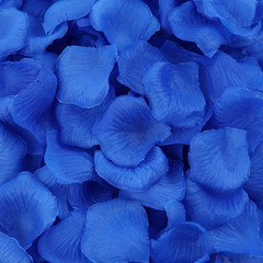 1000 Pcs Artificial Fake Rose Petals,Flower Petals for Romantic Night, Engagemen