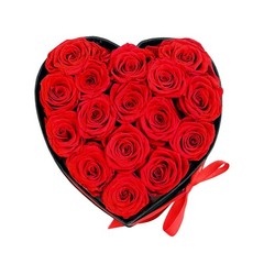 Qutawua Preserved Roses Heart Shape Box Valentines Day Gifts 16 Roses, Red