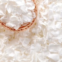 500+ PCS Preserved White Rose Petals for Wedding, Baby Shower, Table Decor