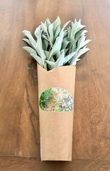 Bouquet fresh cut white sage
