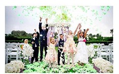 MELUOGE 1000Pcs Silk Sturdy Flower Rose Petals Wedding Party Pasty Grass Green