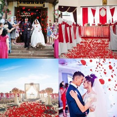 3000 Petalos Rosa Artificiales De Seda Para Decoracion San Valentin Bodas Noches