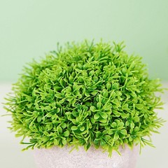 2 Green Gray 5″ Mini Boxwood Topiary Potted Artificial Plants Home Decorations