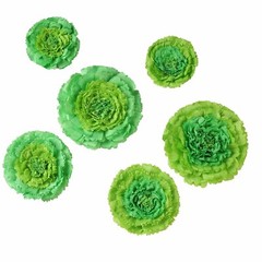 6 pack 7″ 9″ 11″ Mint and Tea Green Tissue Paper Carnation Flowers Sale Backdrop
