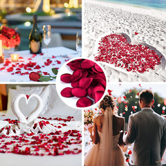 400 PCS Silk Rose Petals Burgundy Red Flower Petals for Romantic Night, Weddi…
