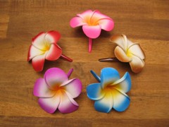 Frangipani Hairclips 7cm flower with matching color clips.
