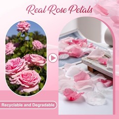 180 PCS Real Pink White Rose Flower Petals Confetti Wedding to Throw 1.75oz