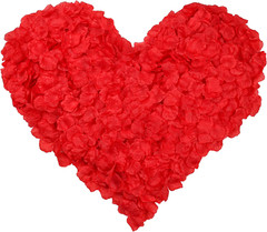 3000 pétalos de rosa de seda, decoraciones de pétalos de rosa roja
