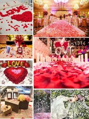 Artificial 1200 Red Rose Petals – Elegant Decor for Weddings & Anniversaries