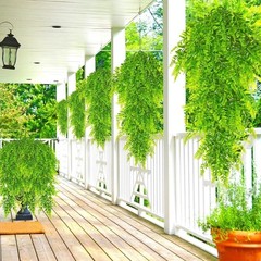 10pcs Artificial Hanging Plants Flowers Outdoor Fake Fern Garland Wedding Decor