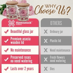 Havenstock Pink Rose in a Glass Dome – Premium Real Roses That Last