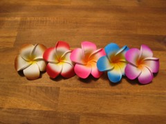 Frangipani Hairclips 7cm flower with matching color clips.
