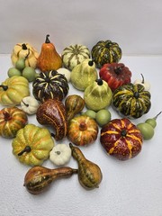 27 Piece Artificial Fall Decor Set- Pumpkins, Squash. High End!! Beautiful!!